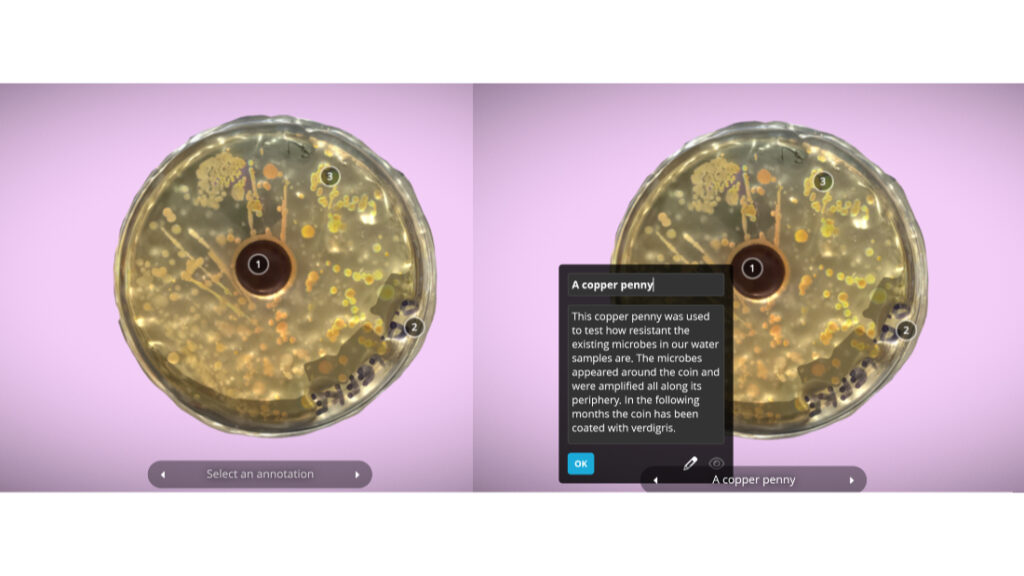 Figure 8: screenshot from 3D experience on Sketchfab