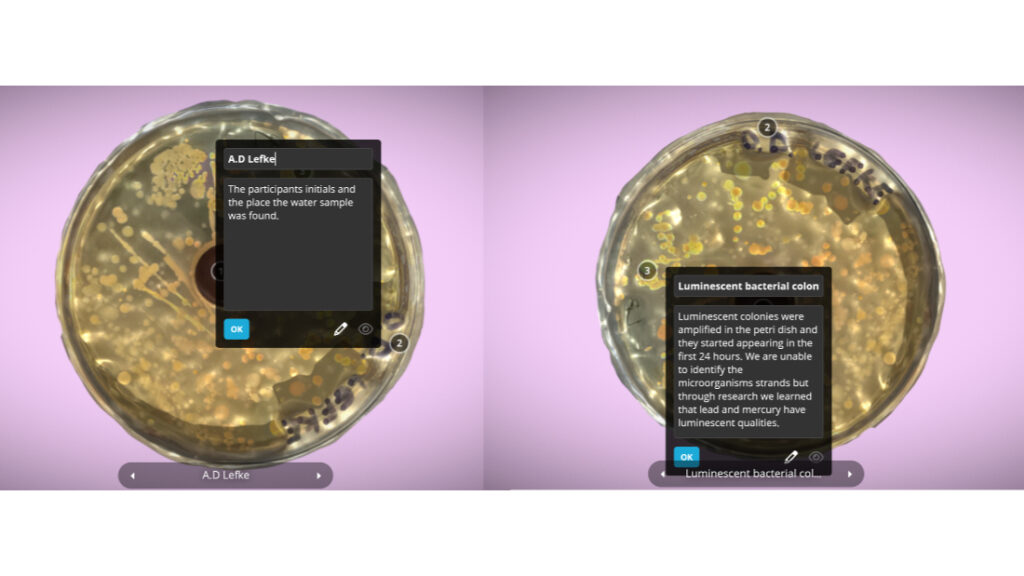 Figure 8, screenshot from 3D experience on Sketchfab