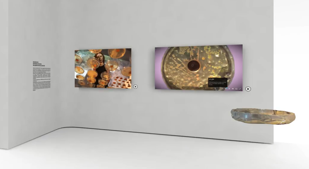 Atomic No. 29 - screen shot of the digital exhibition