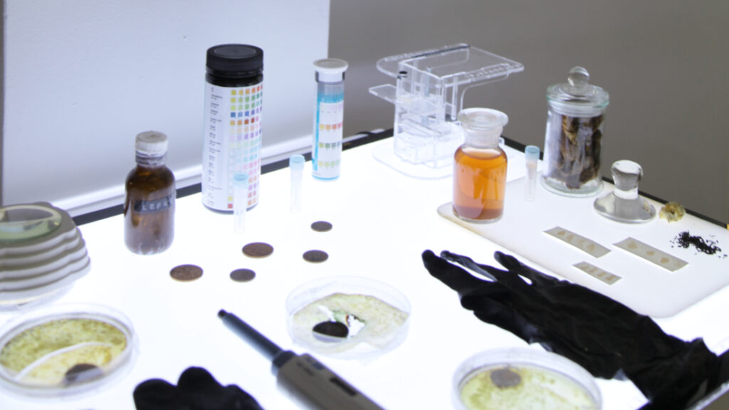 Figure 15: cultivated petri dishes and test strips from the DIY Biology workshop
