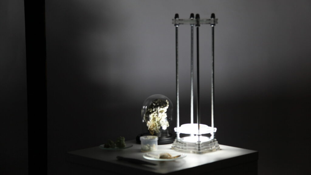 Stands made from plexi glass and steel threaded rods specially designed and laser cut to create magnified projections