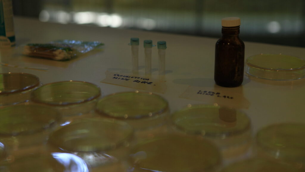 Marisa Satsia and Daria Dantseva's DIY Biology workshop. Photo: Andriana Lagoudes