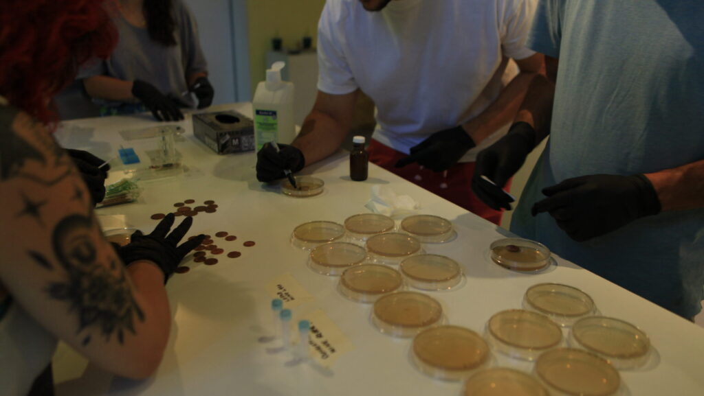 Marisa Satsia and Daria Dantseva's DIY Biology workshop. Photo: Andriana Lagoudes