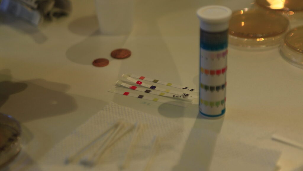 Marisa Satsia and Daria Dantseva's DIY Biology workshop. Photo: Andriana Lagoudes