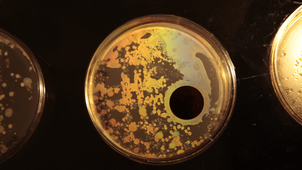 Figures 6: Atomic Number 29 at the (Re)Grounding exhibition at EKATE. Photo: Andriana Lagoudes