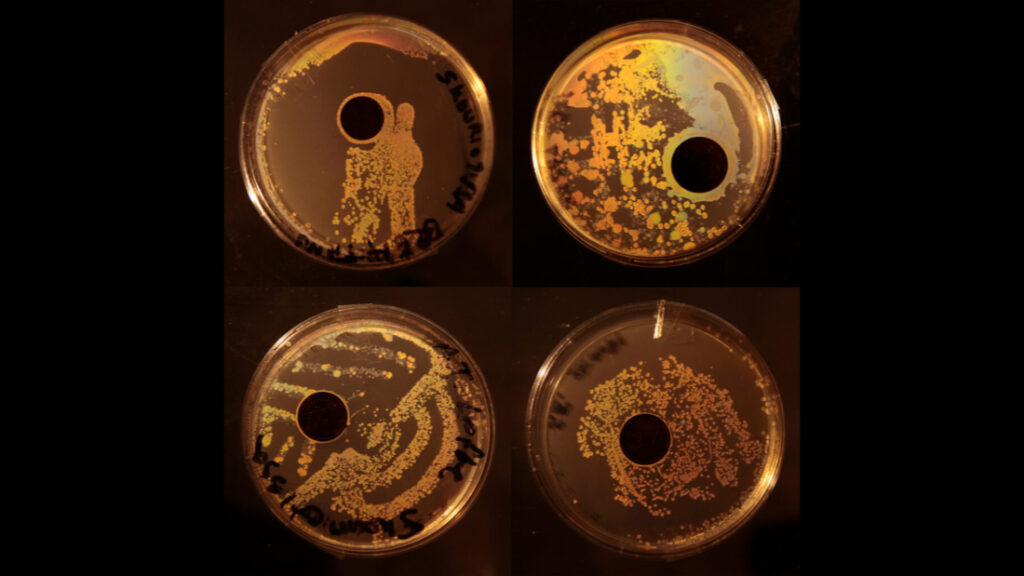 Figure 9: Atomic No. 29 - screen shot of the digital exhibition