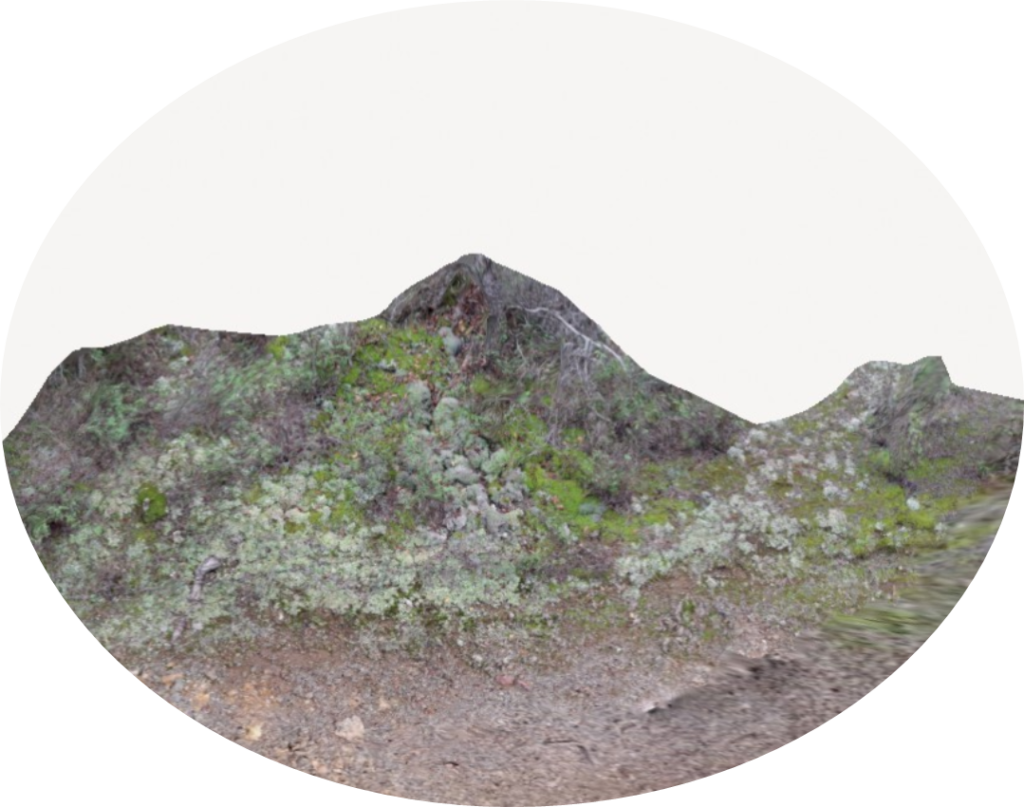 3D scan of lichen found at Stronglyos mine