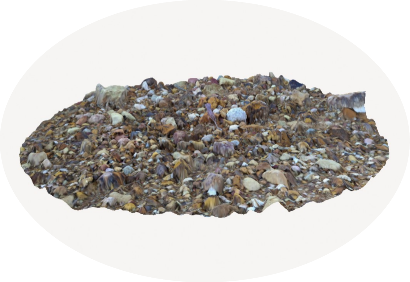 3D scan of purple plant found at Strongylos mine